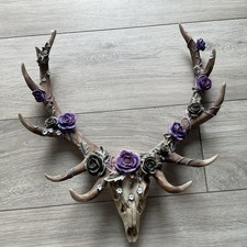 Antlers eden floral for sale  MILTON KEYNES