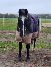 Pferdedecke regendecke horse gebraucht kaufen  Cuxhaven