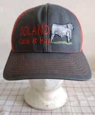 Boland cattle hay for sale  Saint Louis