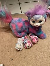 Kitty surprise 2015 for sale  STOURBRIDGE
