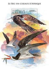 Guinea 2015 skimmer d'occasion  Brunoy