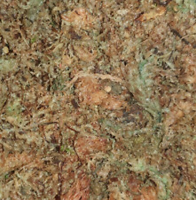 Sphagnum moss happy for sale  TONBRIDGE