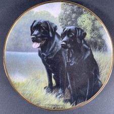 Black labrador retrievers for sale  Mount Pleasant