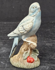 Parakeet budgie blue for sale  Wheaton
