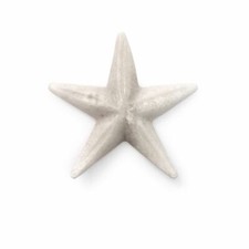 Ornamento stella marina usato  Italia