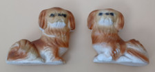 pekingese for sale pekingese for sale SWANAGE