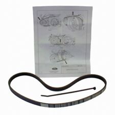 Serpentine belt motorcraft for sale  USA