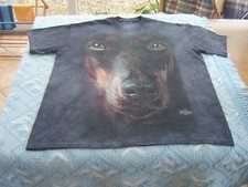 Mountain doberman 2011 for sale  BRIDPORT