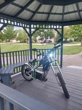 Electric chopper costum for sale  Whiting
