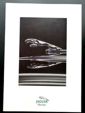 1996 jaguar daimler for sale  BANGOR