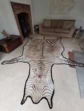 Taxidermy burchells zebra for sale  KINGSWINFORD