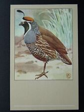 Bird theme californian for sale  UK