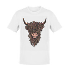 Highland cow scotland for sale  LIVERPOOL