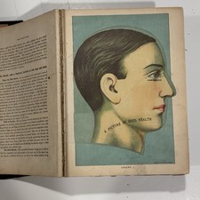 Library of Health 1916 Frank Scholl Twenty Books-One Volume 3D Anatomy Plates comprar usado  Enviando para Brazil