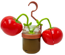 Zabawa Food Little Tikes Market Wiszące krojenie pomidorów Roślina Miętowa na sprzedaż  Wysyłka do Poland