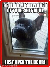 Funny dog humor for sale  Sodus