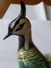 Karl ens kiebitz gebraucht kaufen  Großpösna