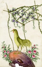 Usado, Pintura chinesa antiga do século XIX – Galo dourado comprar usado  Enviando para Brazil