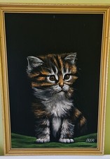 Robert ixer. kitten. for sale  GRANTHAM