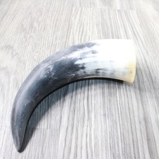 raw cow horns for sale  Parma