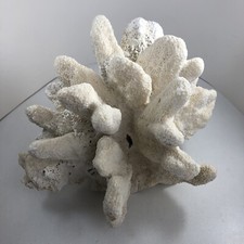 Vintage large natural for sale  Manchester