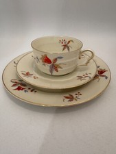 Rosenthal madeleine ivory gebraucht kaufen  Meisenheim