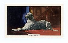 Deerhound gallaher 1938 for sale  COLEFORD