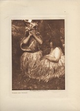 Photo gravure tissue for sale  Nevada City