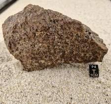 Meteorite nwa 16853 d'occasion  Pernes-les-Fontaines