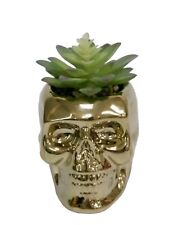 Skull planter succulent for sale  Batesville