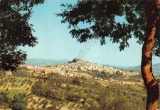 Cartolina calitri avellino usato  Milano