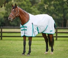 Weatherbeeta green tec for sale  Arlington