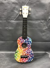 Amahi rainbow flower for sale  Saint Louis
