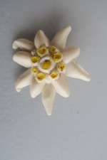 Broche ancienne forme d'occasion  France