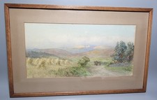 Countryside watercolour horse for sale  GLENROTHES