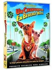 Beverly hills chihuahua for sale  ROSSENDALE