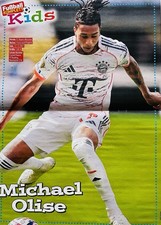 Poster michael lise gebraucht kaufen  Emsdetten