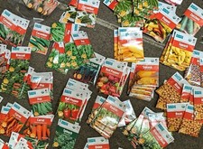 Back roots heirloom for sale  Powder Springs