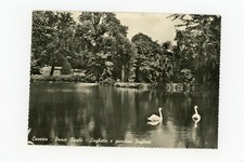 Cartolina caserta parco usato  Roma