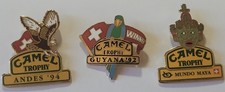 Pins pin camel d'occasion  Kingersheim