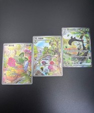 Stock pokemon chinese d'occasion  Expédié en Belgium