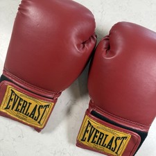 Everlast 1910 classic for sale  Georgetown