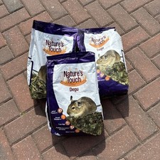 Natures touch degu for sale  PRESTON
