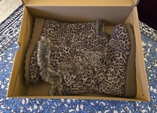Bearpaw boots womens for sale  Nashville