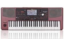 Korg pa1000 usato  Napoli
