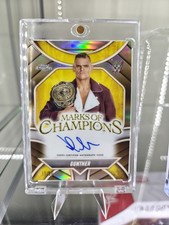 Gunther auto wwe usato  Sant Agata sul Santerno