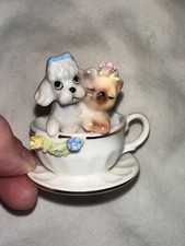 poodle teacup for sale  Mount Juliet