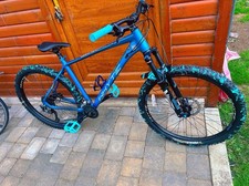 One kind whyte for sale  DONCASTER