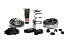 5118238 variatore malossi usato  Trapani