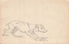 collier bullrot chien d'occasion  Expédié en Belgium